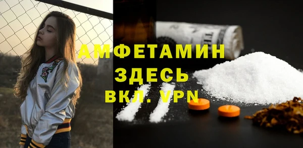 ГАЛЛЮЦИНОГЕННЫЕ ГРИБЫ Бородино