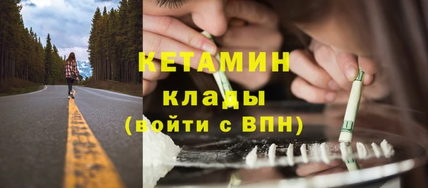 ГАЛЛЮЦИНОГЕННЫЕ ГРИБЫ Бородино