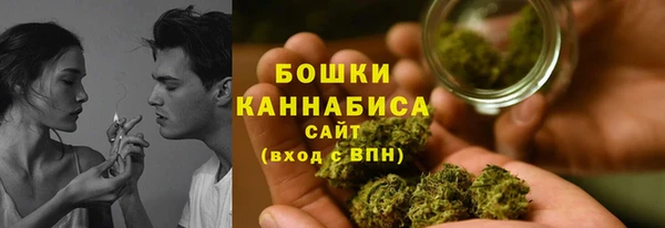 ГАЛЛЮЦИНОГЕННЫЕ ГРИБЫ Бородино