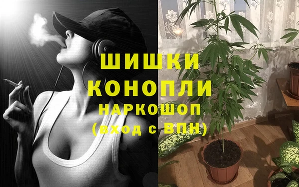 прущие грибы Богородицк