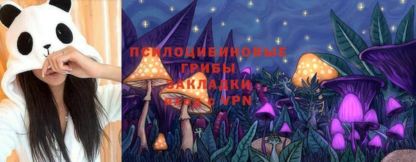 трава Бугульма