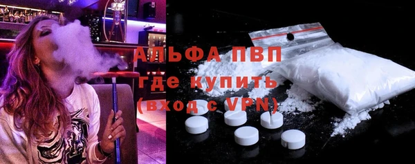 прущие грибы Богородицк