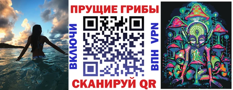 Купить где  Строитель  Галлюциногенные грибы GOLDEN TEACHER 